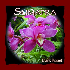 Sumatra - Dark Roast